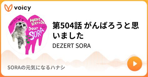 sora 504|SORA.